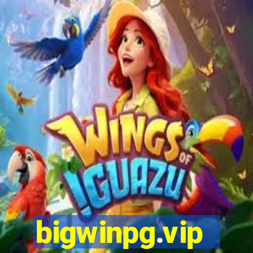 bigwinpg.vip