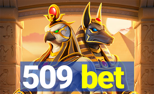 509 bet