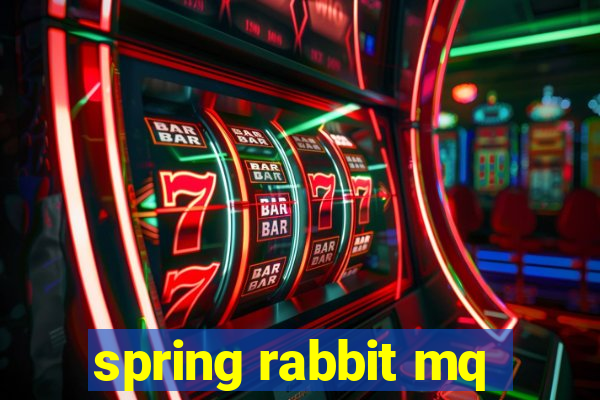 spring rabbit mq