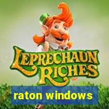 raton windows