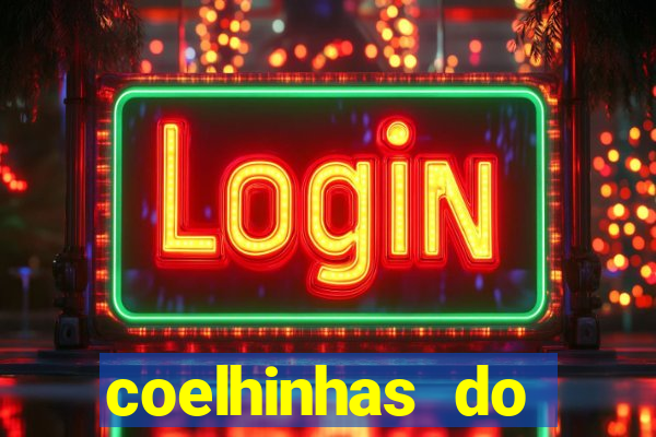 coelhinhas do brasil recife