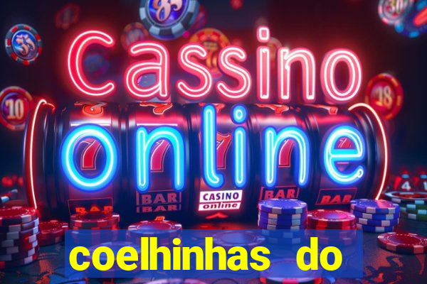 coelhinhas do brasil recife