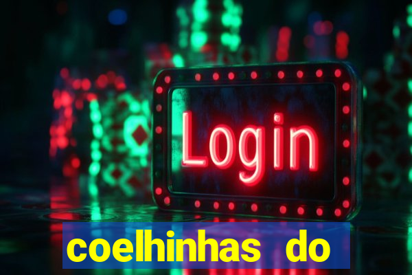 coelhinhas do brasil recife