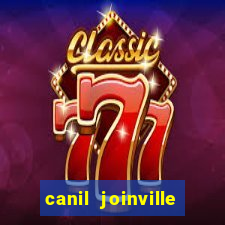 canil joinville vila nova