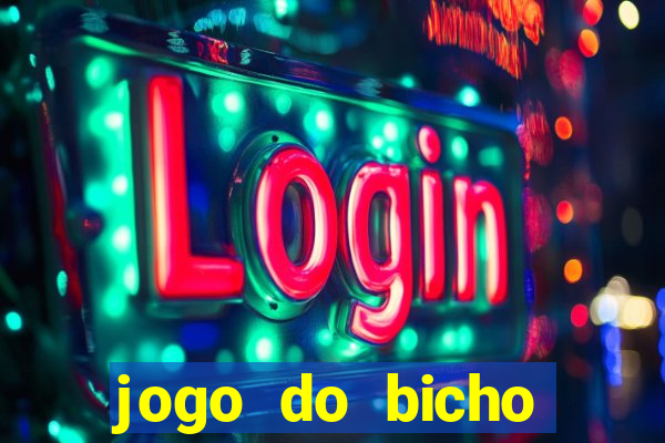 jogo do bicho crash bingo