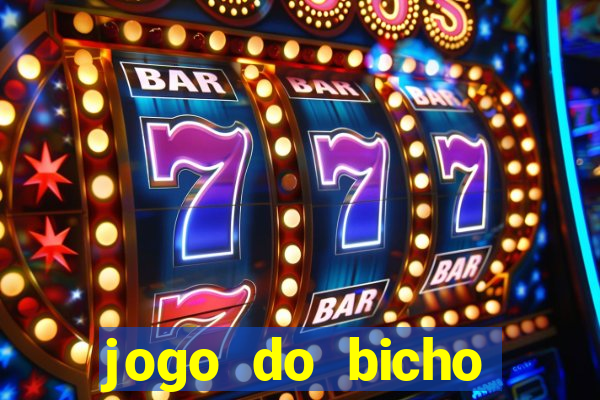 jogo do bicho crash bingo