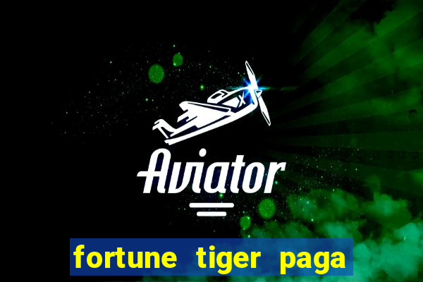 fortune tiger paga de madrugada