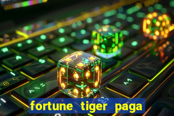 fortune tiger paga de madrugada