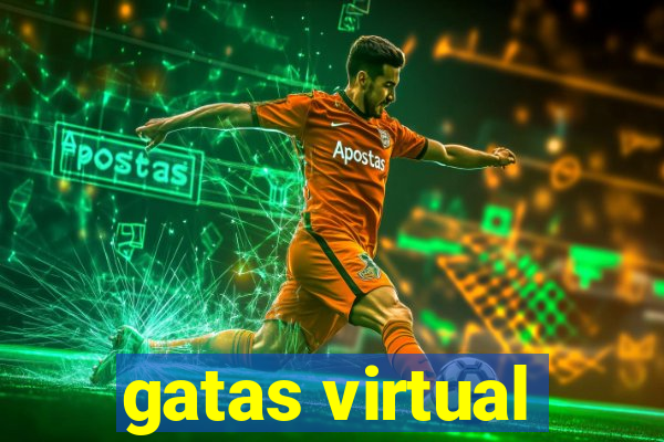 gatas virtual