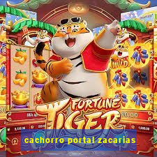 cachorro portal zacarias