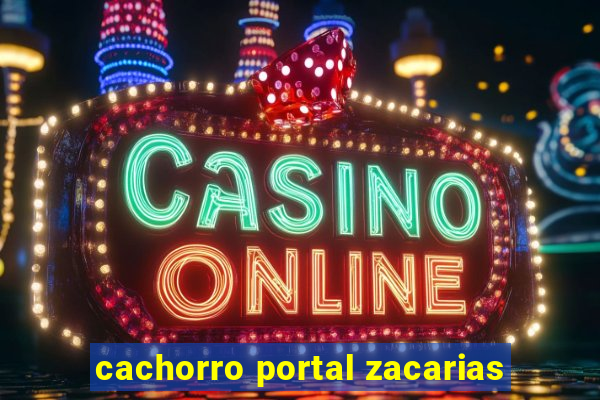 cachorro portal zacarias