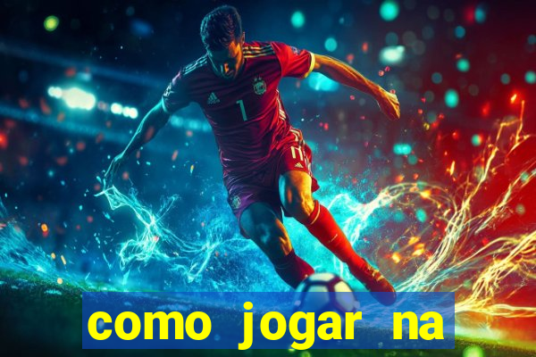 como jogar na seninha online