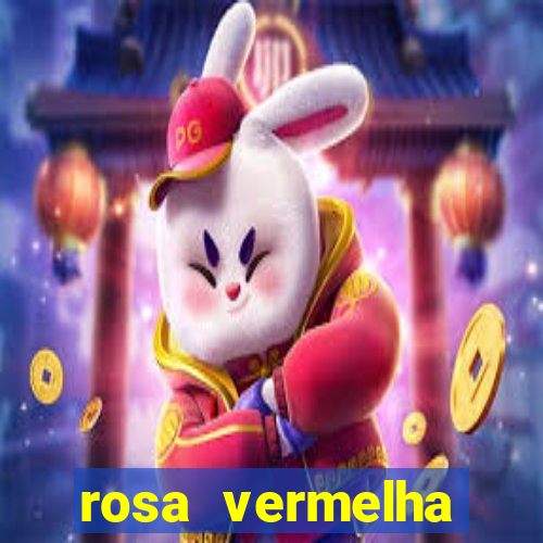 rosa vermelha (letra e cifra)