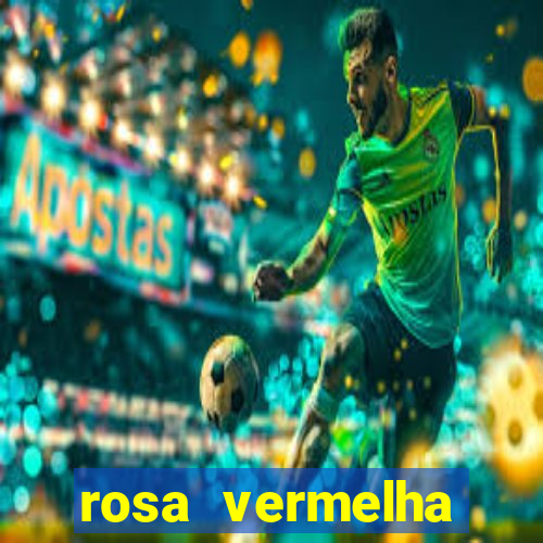 rosa vermelha (letra e cifra)