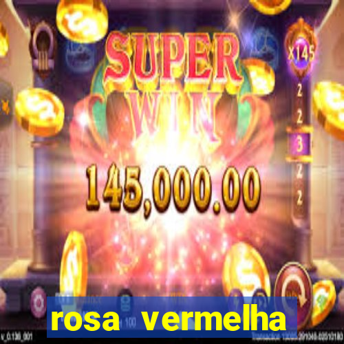 rosa vermelha (letra e cifra)