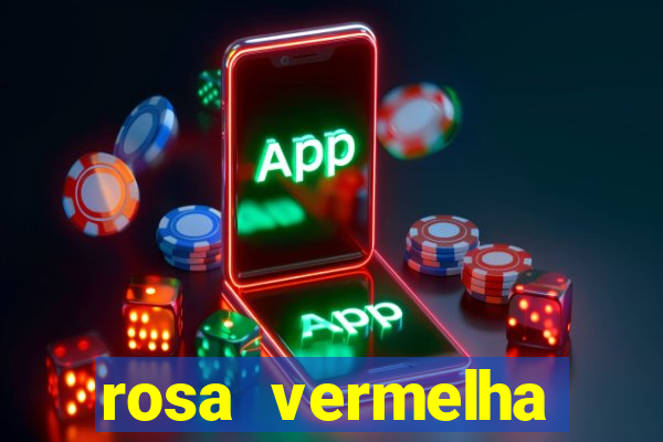 rosa vermelha (letra e cifra)