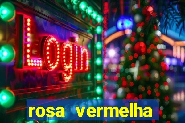 rosa vermelha (letra e cifra)