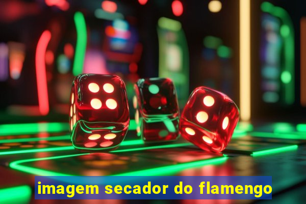 imagem secador do flamengo