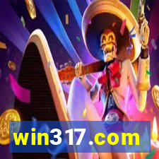 win317.com