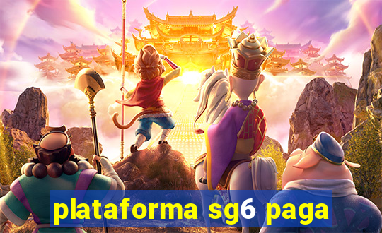 plataforma sg6 paga