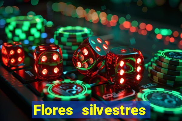 Flores silvestres brasileiras 25