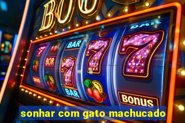 sonhar com gato machucado