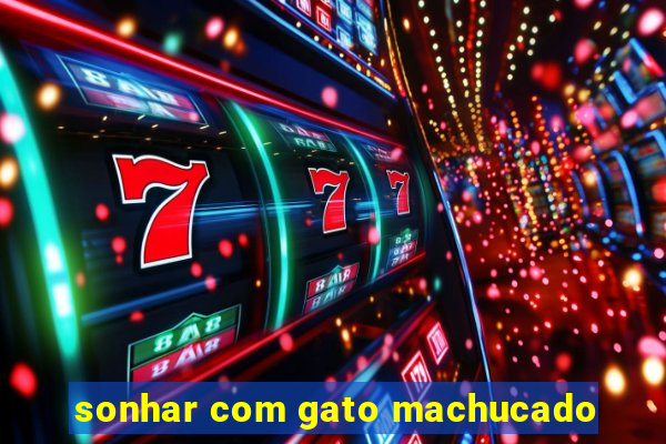 sonhar com gato machucado