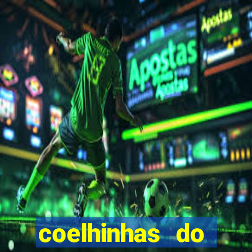 coelhinhas do brasil site