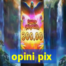 opini pix