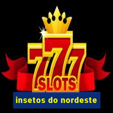 insetos do nordeste