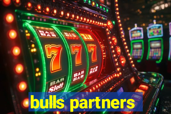 bulls partners