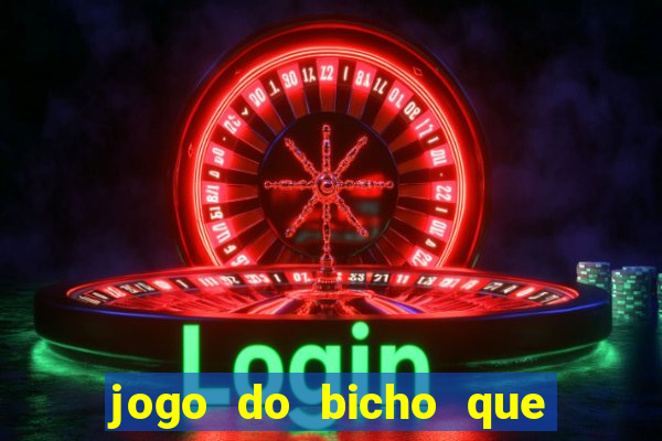 jogo do bicho que paga no pix