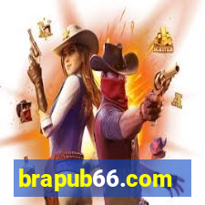 brapub66.com