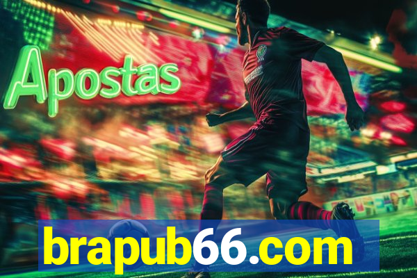 brapub66.com