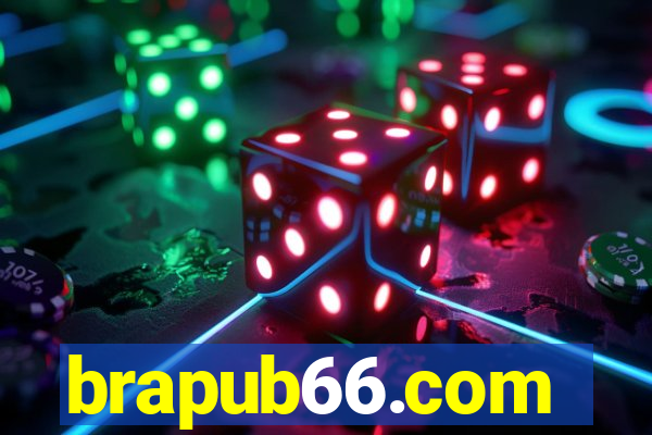 brapub66.com