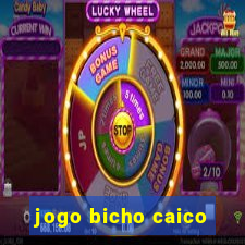 jogo bicho caico