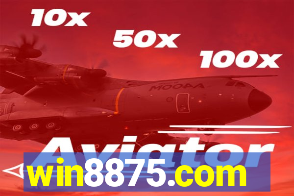 win8875.com