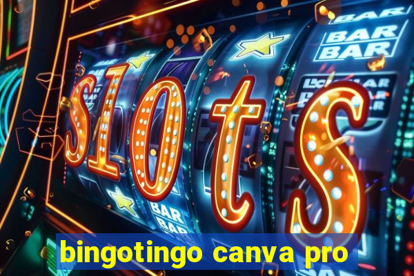 bingotingo canva pro