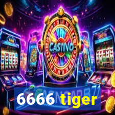 6666 tiger