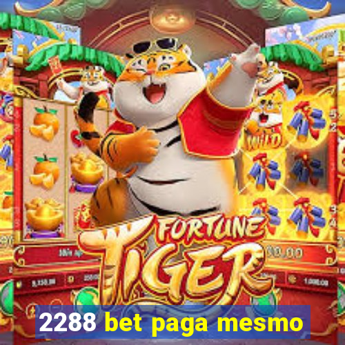 2288 bet paga mesmo