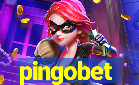 pingobet