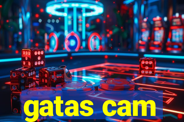 gatas cam