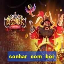 sonhar com boi branco jogo do bicho