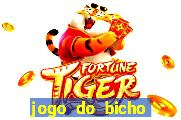 jogo do bicho tipos de apostas