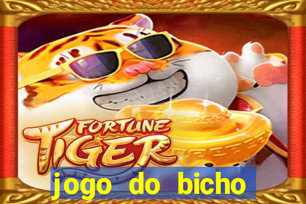 jogo do bicho tipos de apostas