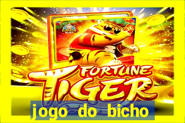 jogo do bicho tipos de apostas