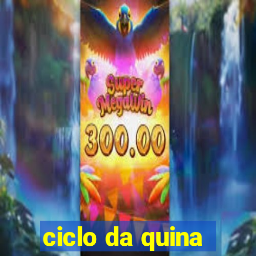 ciclo da quina