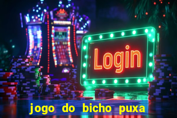 jogo do bicho puxa de dona maria