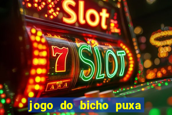 jogo do bicho puxa de dona maria