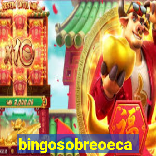 bingosobreoeca